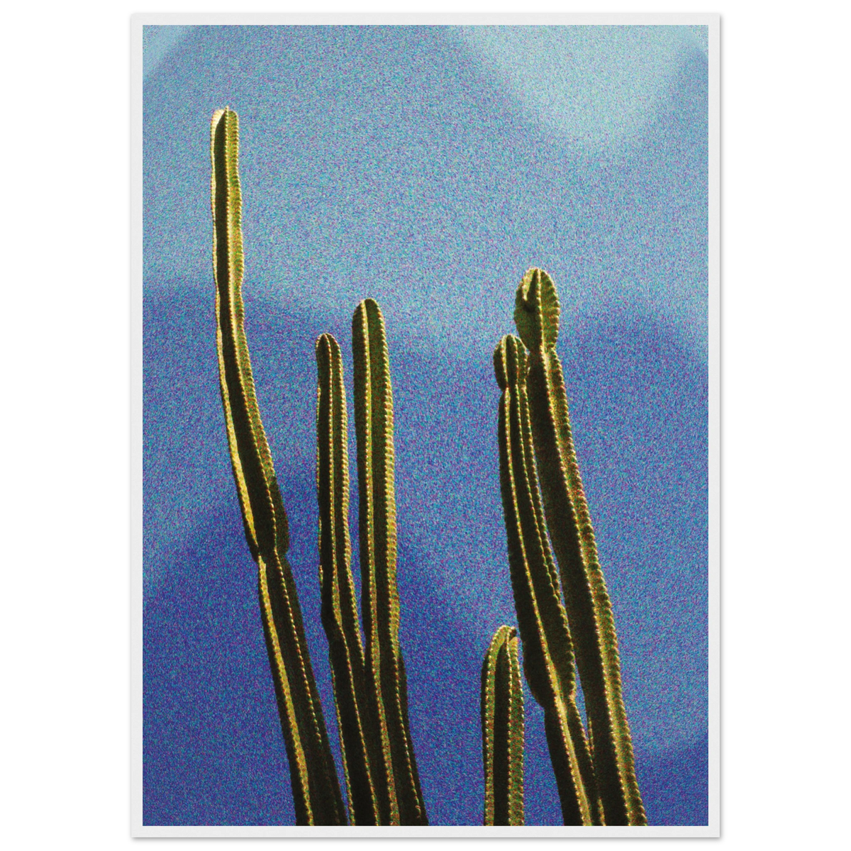 277156b9-5280-4746-af41-4ca3c8e998bf