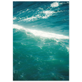 8c67b5ce-ddcf-42e1-bc03-9616938cdca6