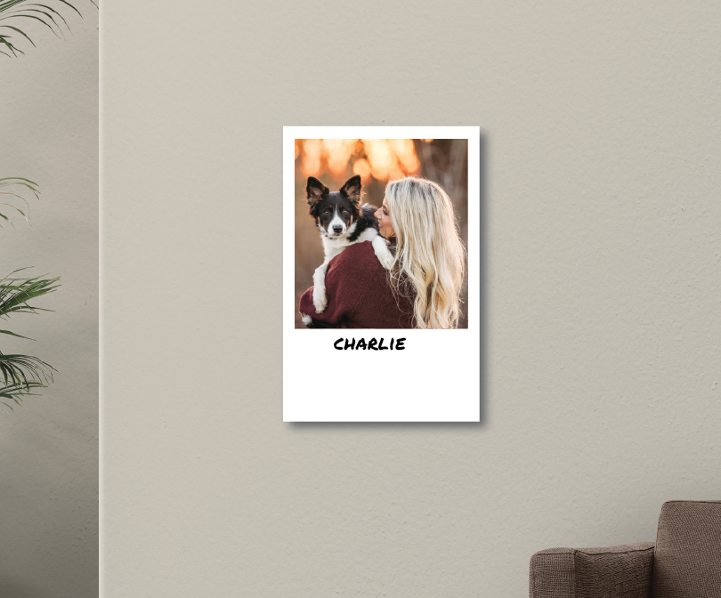 POLAROID - CUSTOM METAL POSTER